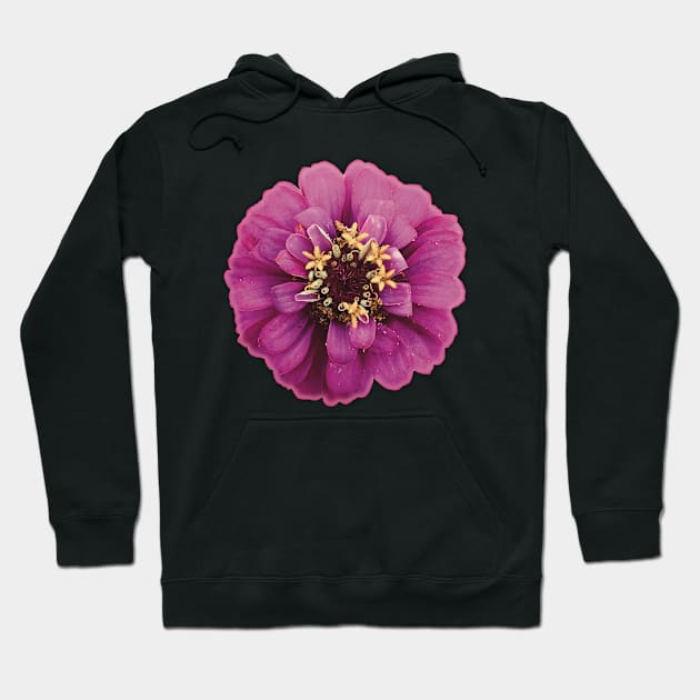 Magenta Flower and Yellow Pollen - Photograph Art -  Digital Image Cut-out into a fun graphic perfect for stickers, notebooks, greeting cards, pillows and more Hoodie by cherdoodles